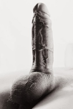 swiss-stallion:  “weapon” collected from