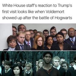 hpmemes:  (source) 