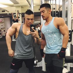 A bunch of hot Asian guys