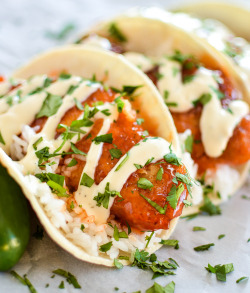 do-not-touch-my-food:  Honey Chipotle Chicken Tacos with Cilantro Lime Rice