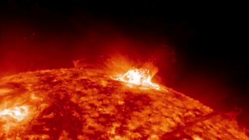 domus-aurea2: Summer solstice 