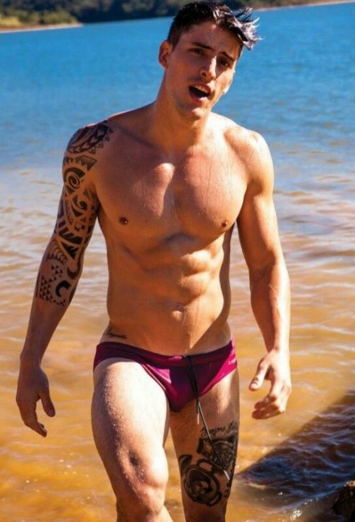 http://kosherdick.tumblr.com/post/142496169013