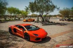 desertmotors:  Wild Supercars by Jameson