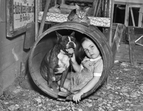 back-then:Beverly Joy Bass with an abandoned bulldog at the Animal Defense League, And the cat rules