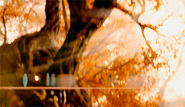 orlandobloom:   Then the bliss of the Valar was increased; for the lights of the