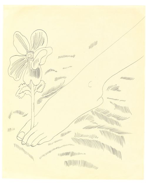 amare-habeo: Andy Warhol (American, 1928-1987) Foot with Flower, 1954Ballpoint pen on paper. 43&thin