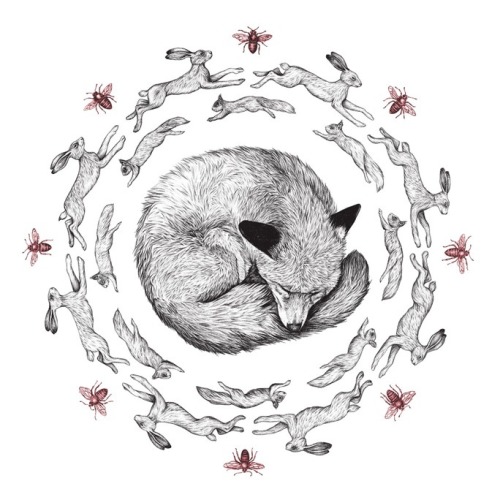 fer1972:  Illustrations by Amy Dover
