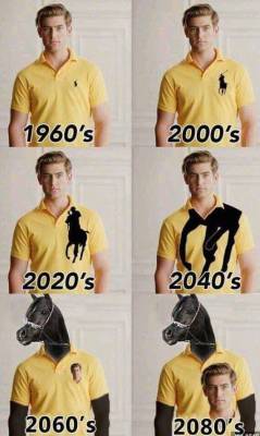 welele:  Polo Ralph Lauren evolution  Polo veo muy realista 