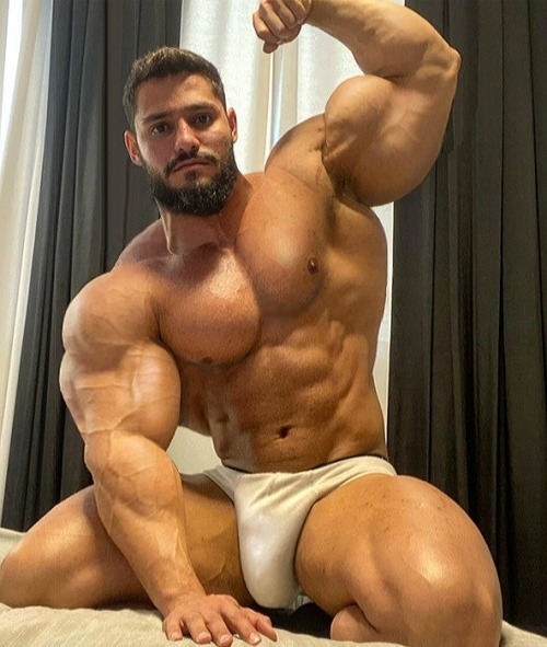 musclebutter - Alpha Muscle Gods