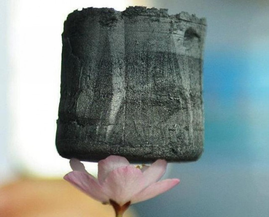 did-you-kno:  sixpenceee:  Chinese scientists have created the world’s lightest material.  Graphene aerogel that is seven times lighter than air. It is so light that one cubic inch can be balanced on a blade of grass, the stamen of a flower, or the