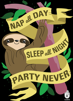 cuteness-daily:  I’m actually a sloth 