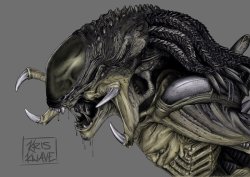 fuckyeahxenomorphs:  Predalien AVP:R by kris-knave