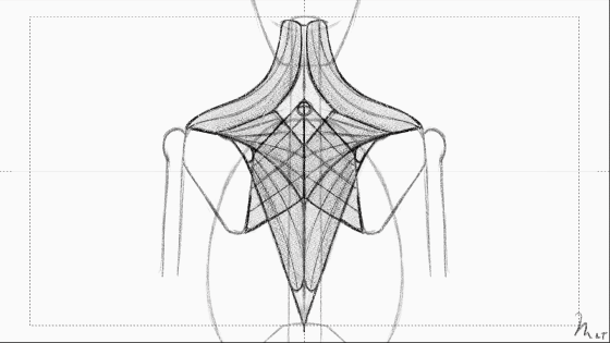 kevinator201:marianarira:All the torso animated studies.This is just fascinating