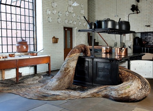 crossconnectmag:Feather Sculptures by Kate MccGwireKate MccGwire is an internationally renowned Brit