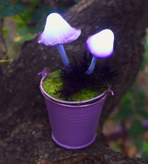 sosuperawesome:Mushroom Night Lights by The Snowmade on Etsy 