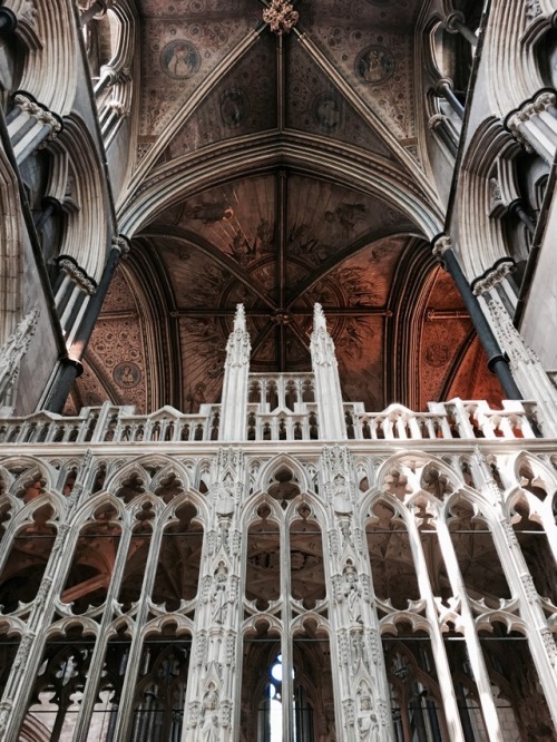 skippingismagnificent: y’kno what are absolutely gorgeous? cathedrals. especially worcester ca