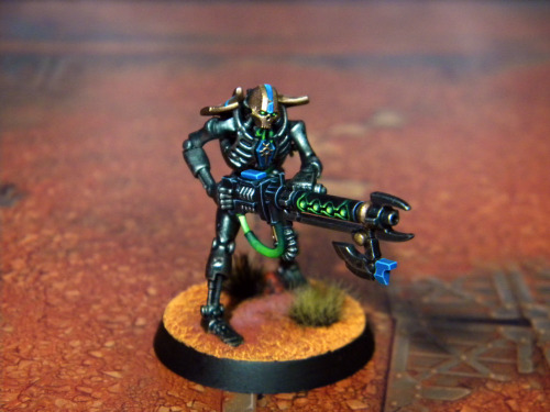 The fourth Necron Warrior of Nihilakh Dynasty.