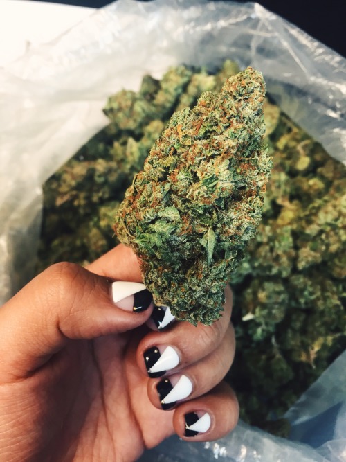 piale:  I always like finding the nicest nug out of the whole pack. 