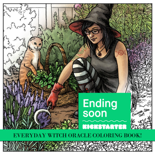 Ending Soon!!! The Everyday Witch Oracle Coloring Book! Featuring all of the line art from the orac