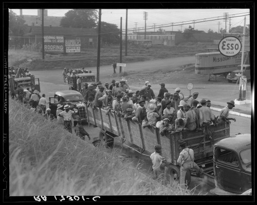  Cotton hoers from Memphis, Tennessee are carried by trucks to the Arkansas plantations (1937).  The