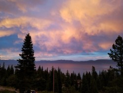 dandycottoncandy:My mom just sent me this photo from Tahoe. 😍