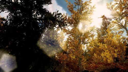worldofelderscrolls: Trying out a new Sunsprite.  So I took a shot without it and two with it. 