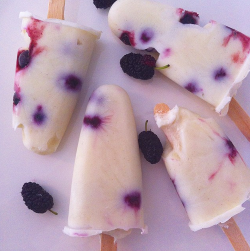 lazypacific:  fruity yogourt popsicles // @brownpapernutrition on insta 