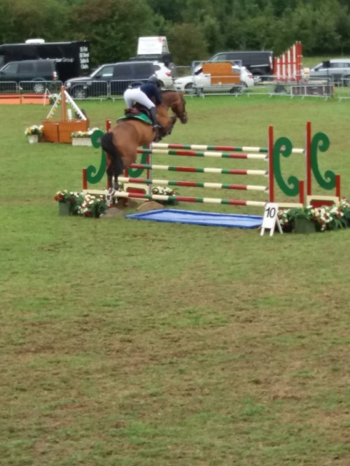 Lovely day out at the Royal Lancashire Show in Ribchester. Mainly went for the show jumping but lots
