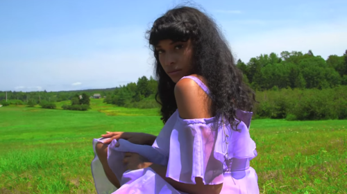 ninalaqrima:apple pie // princess nokia