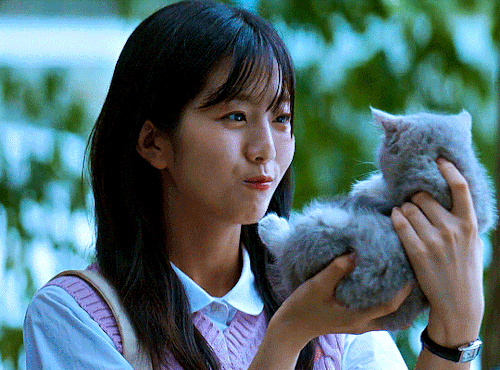 TWINKLING WATERMELON (2023)I Was Worried You'd Be Bored Alone. I Made Sure To Pick Out A Kitty That Looked