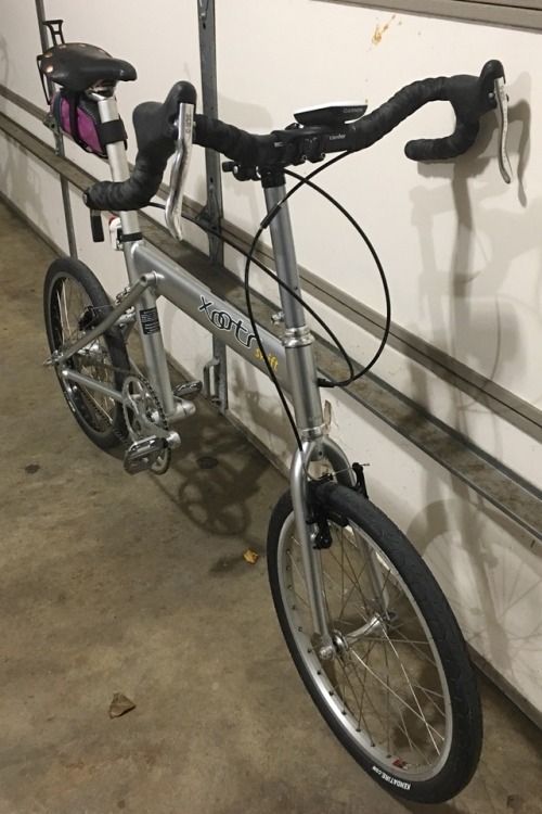 cleotalk:My Xootr Swift folder with SA 5 speed hub
