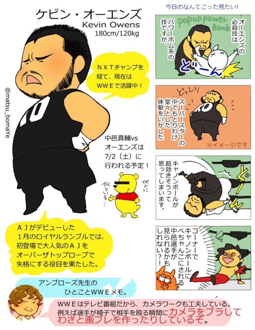 wrestlingisfake: Illustrated guide to the WWE Japan tour by matsu_bomaYe