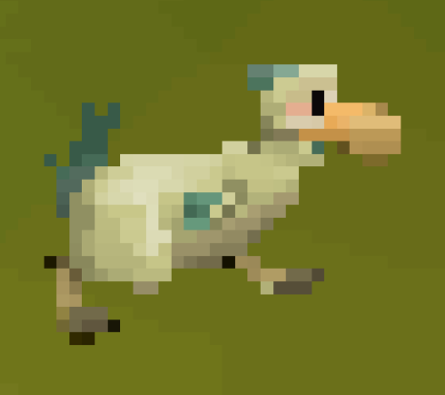 bird-home - bird