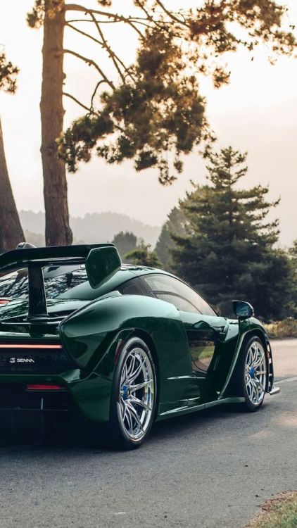 Emerald Green Mclaren Senna owned by Michael Fux via autofan.xyz