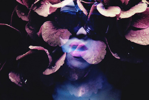 nevver: Camera obscura, Lara Kiosses