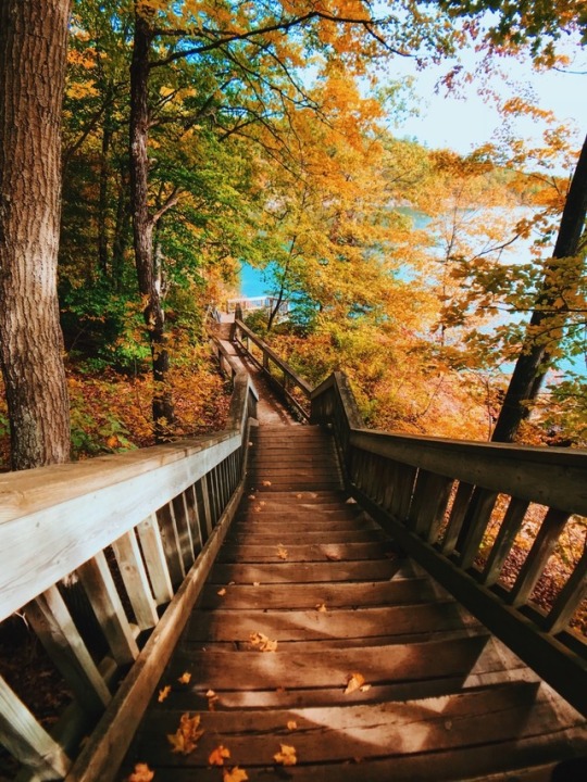 thefrenchguidoune:    Reminds me of Michigan. I miss Michigan in the fall.