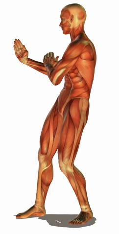 3 Random Pose Generator Websites For Pose Referencing