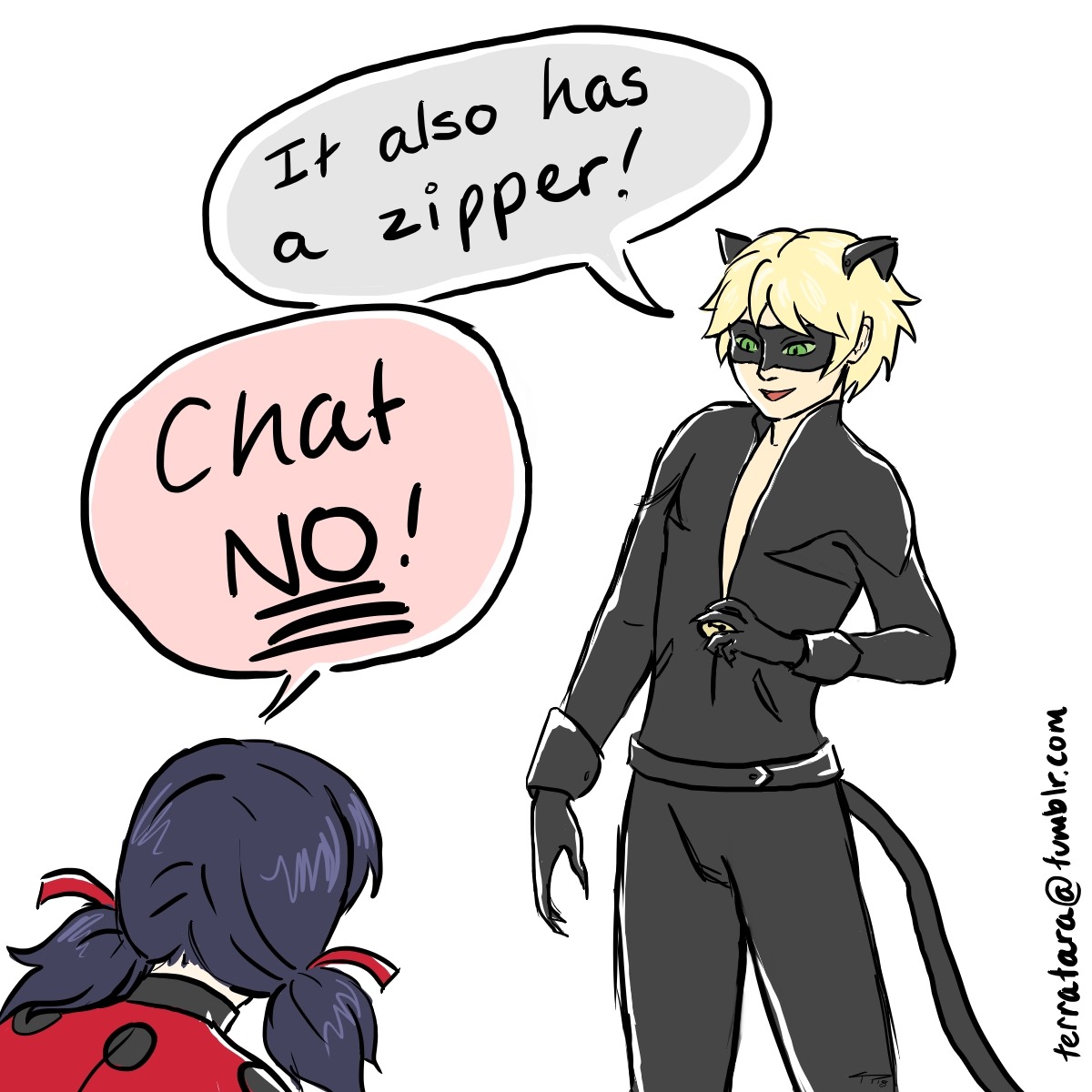 dzamie: terratara:   Chat Noir has what every girl in the world wants, pockets. This