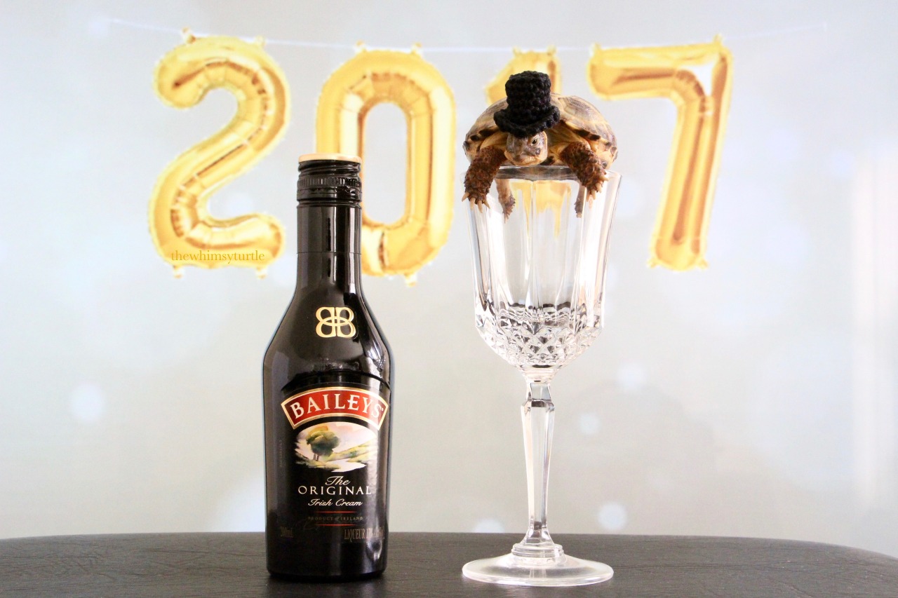 thewhimsyturtle:  thewhimsyturtle:  🎉🎩🐢  Happy New Year, Tumblr!  🥂🍾🎊