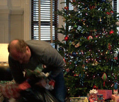 fireflies-and-moonbeam-pies:  How to clean up Christmas Louis CK style.