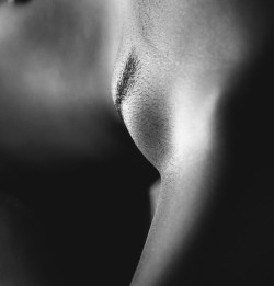 Bare Pussy Mounds Tumblr