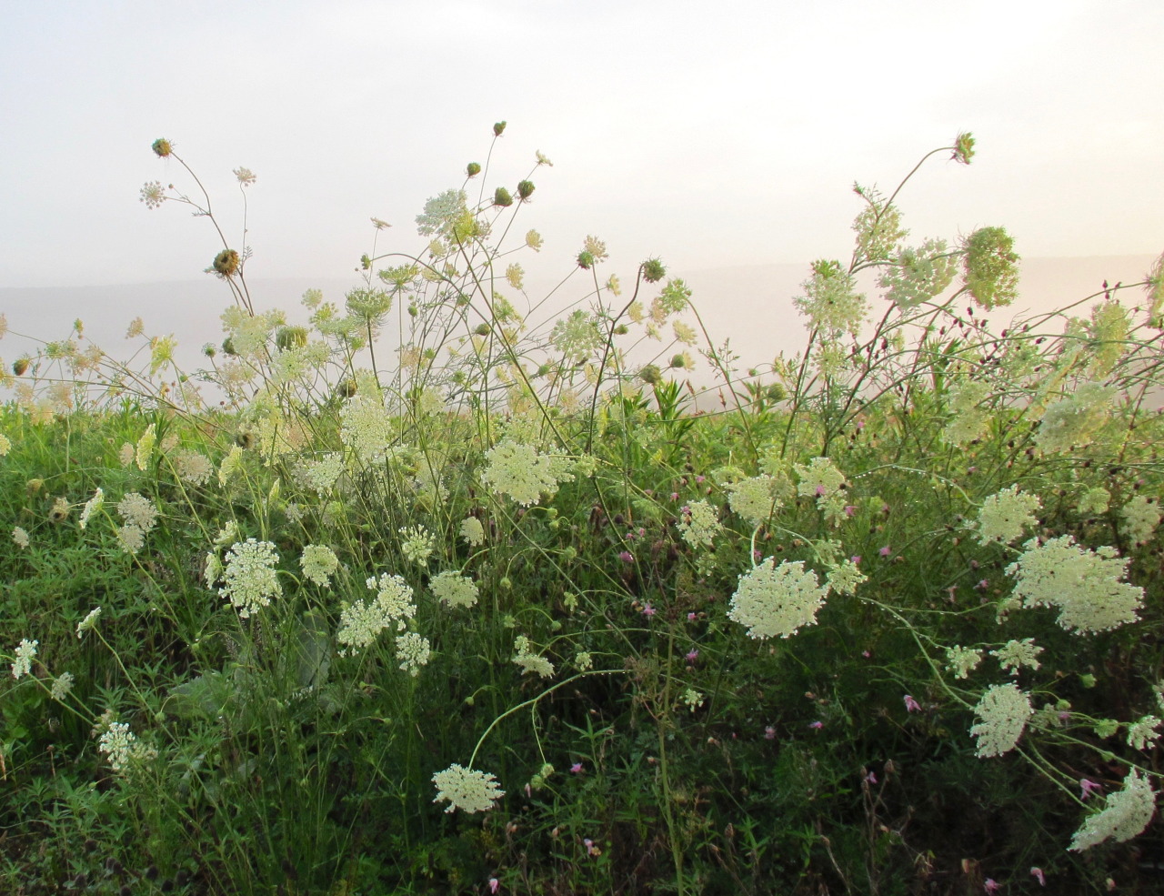 geopsych:  A dreamy day in July, 2015. 
