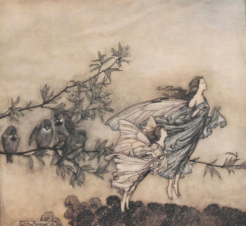 Arthur Rackham illustration from Peter Pan in Kensington gardens by J. M. Barrie, 1907