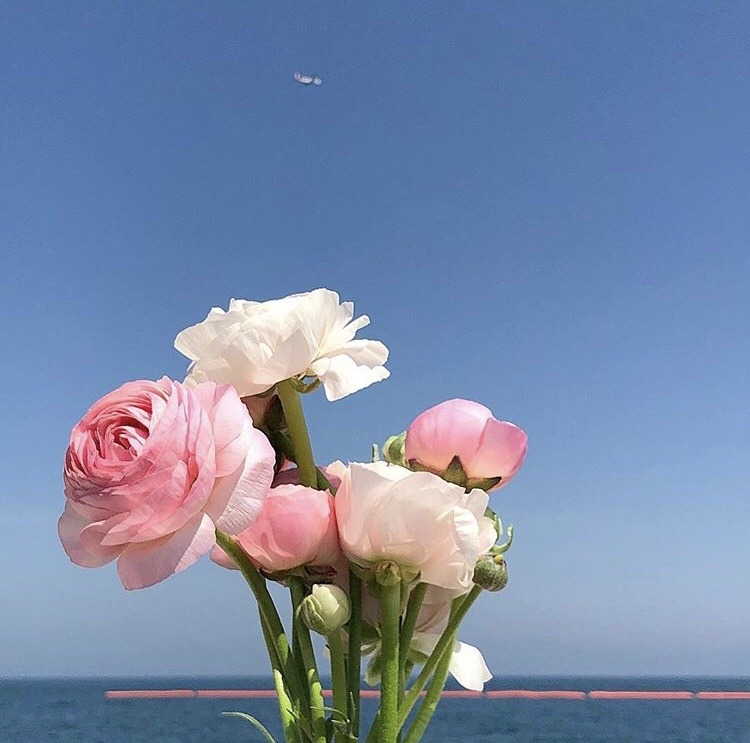 kiboou: https://www.instagram.com/p/BwZVdOejMzJ/ 