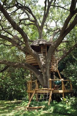 coisasdetere:  Casa na Árvore - Treehouse