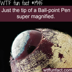 wtf-fun-factss:  the tip of the pen magnified