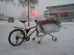 zweiradprinzip:  shopping bike 