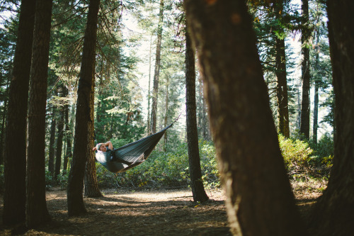 p-i-r-a-d-o:  eartheld:  woodsndirt:  +  +  x 