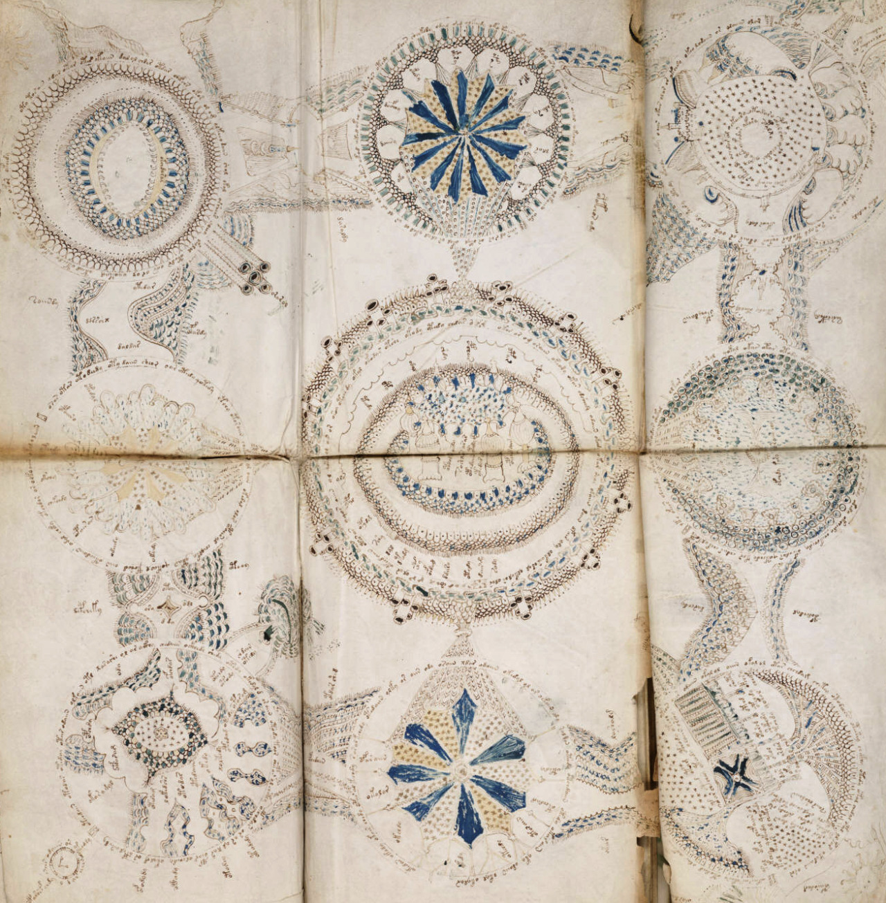 dereinzigeweg:  Images from The Voynich Manuscript
