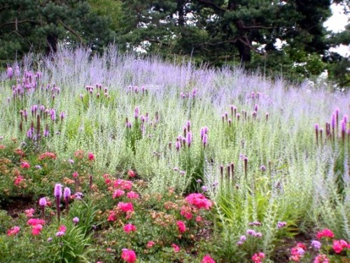 Beautiful Nature